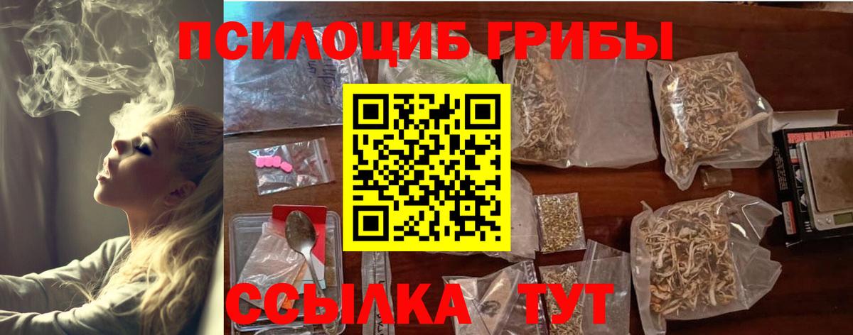 Галлюциногенные грибы MAGIC MUSHROOMS  Вход с VPN  Ипатово  сколько стоит  Псилоцибиновые грибы мухоморы 